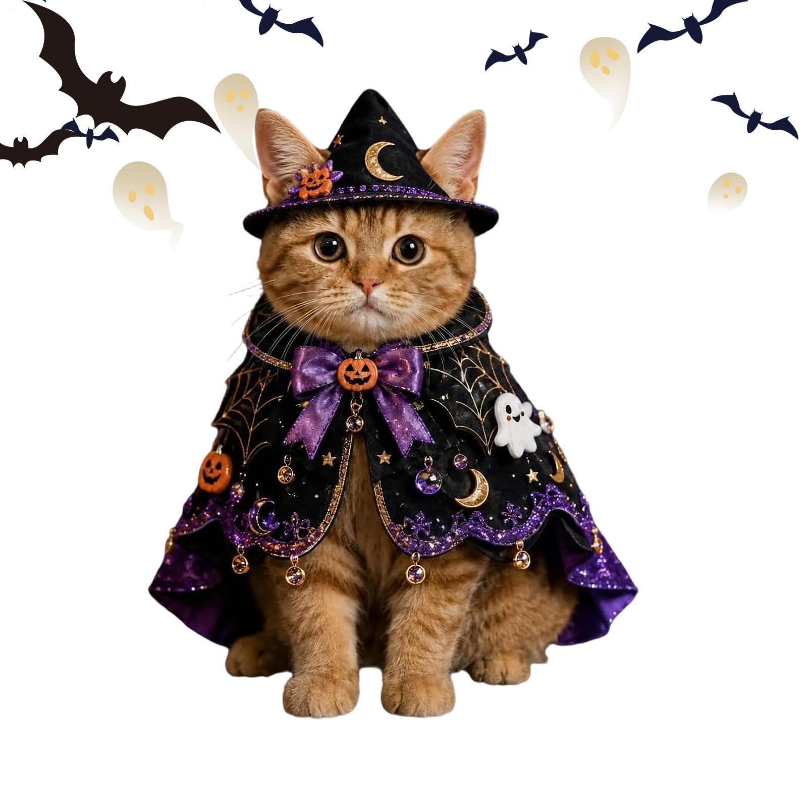 Disfraces Halloween para gatos que evitan el estrés en las reuniones en casa