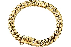 Stunning Stainless Steel Dog Chain: Ultimate Strength and Elegance