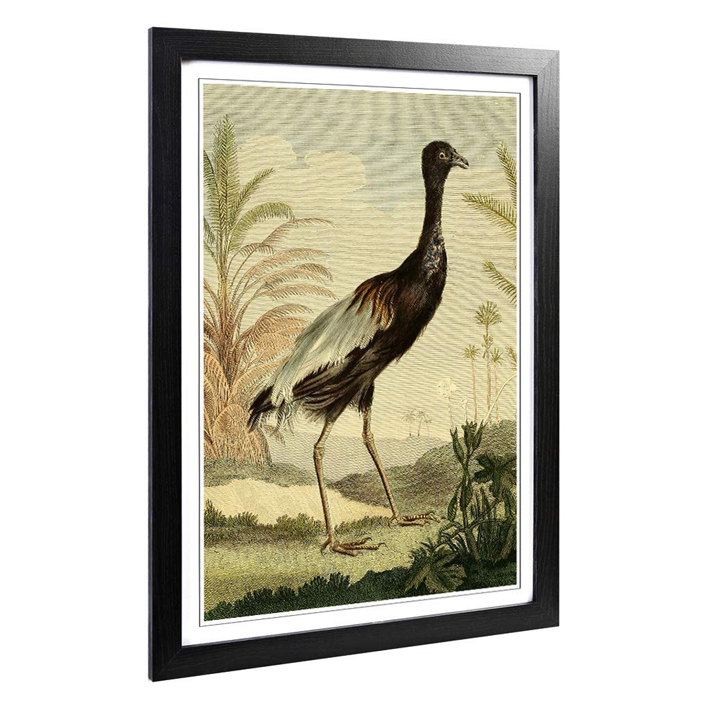 Big Box Art Framed Print of Vintage Charles R Ryley Trumpeter Design | Wall Art Picture | Home Decor for Kitchen, Living Room, Bedroom, Hallway, Black, A2 / 24.5x18 Inch / 62x45cm