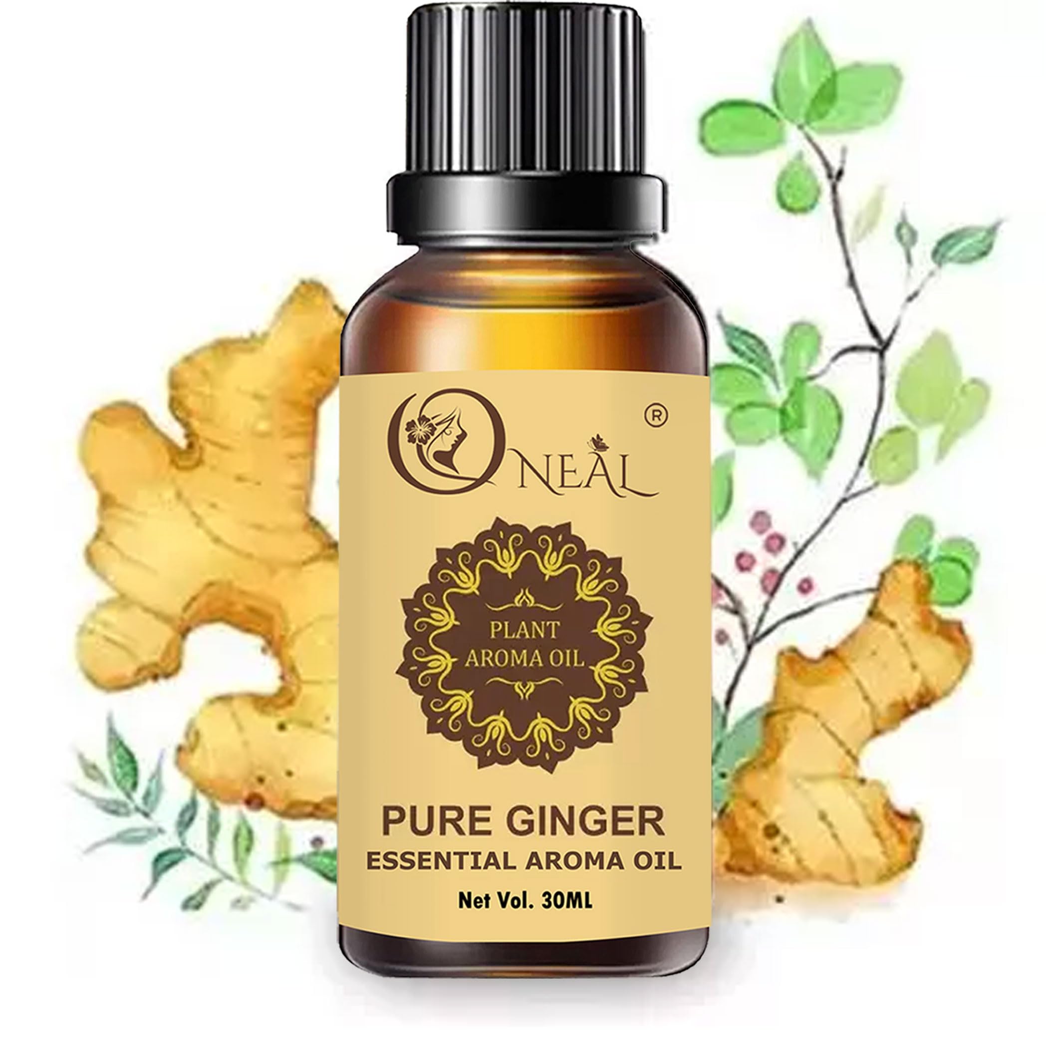 ONEAL Belly Drainage Ginger Oil 30 Ml,Tummy Ginger Drainage Massage Ginger Oil,Ginger Massage Oil For Lymphatic Drainage,Arnica Oil,100% Natural Massage Oil(30Ml)1 Pack (B0CR4BJX19) Amazon Price History, Amazon Price Tracker