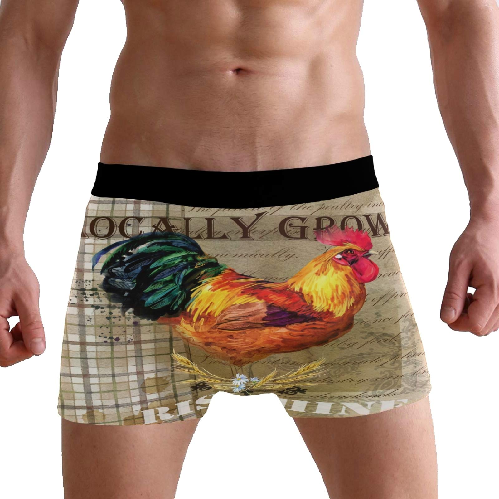 Puxuqu Men's Multicoloured Boxers Shorts Vintage Rooster Poster Boxer Briefs Underwear For Boy