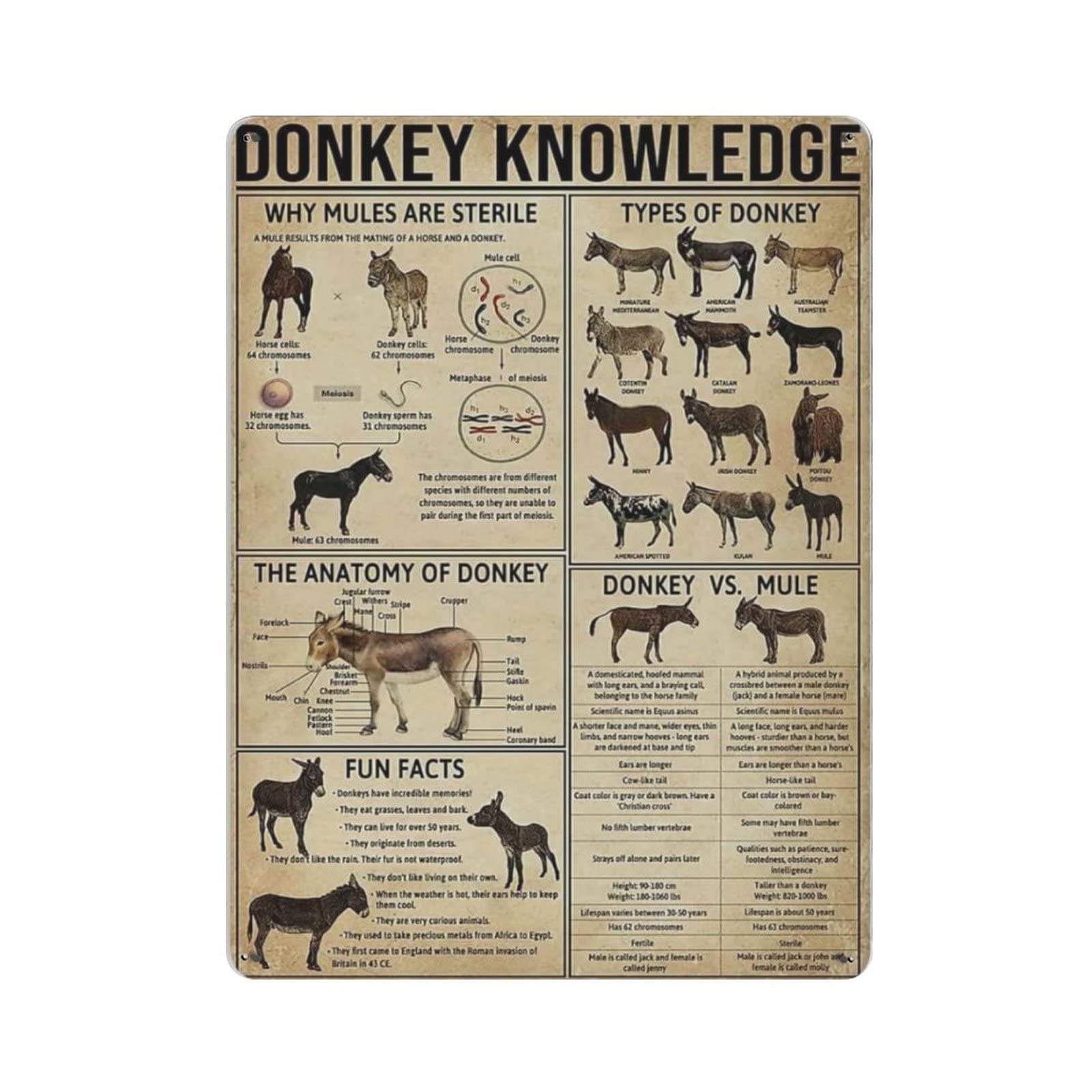 AOOEDM Donkey Knowledge Vintage Tin Sign Metal Tin Signs for Man Cave Funny Art Wall Plaque Kitchen Bar Pub Coffee Shop Wall Decor