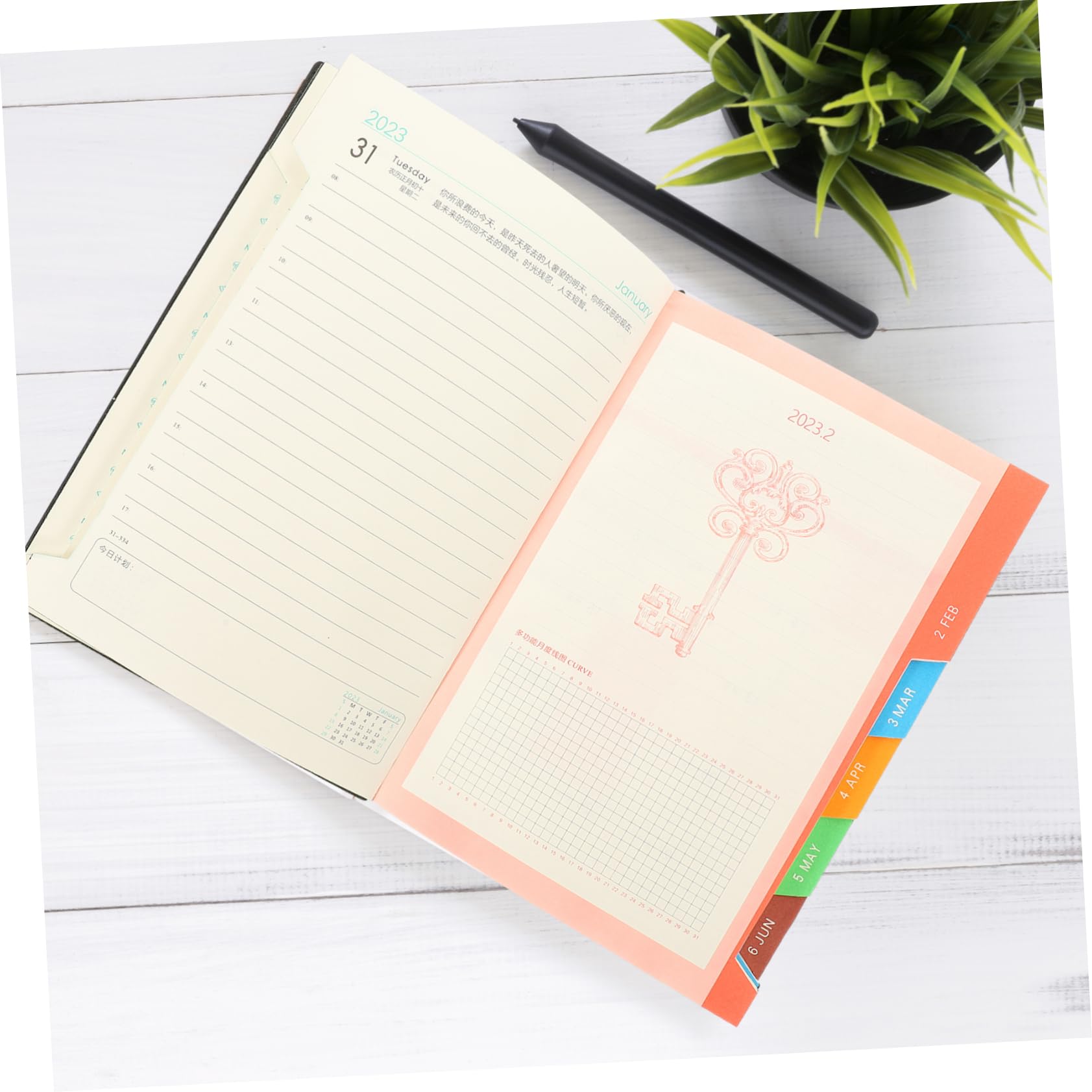 Tofficu 4 blocchi for appunti for notebook Gestione del tempo Agenda for appunti Agenda mensile Agenda giornaliera Agenda accademica Agenda annuale Agenda Blocco note Agenda Libro Carta Programma azie