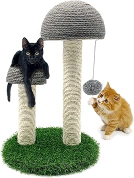 BNOSDM Mushroom Cat Scratcher Sisal Cat Scratching Post with 2 Mushroom Poles and Hanging Ball, Pet Interactive Toy Climbing Post for Indoor Small Cats Kitten (Grey) BNOSDM Mushroom Cat Scratcher Sisal Cat Scratching Post with 2 Mushroom Poles and Hanging Ball, Pet Interactive Toy Climbing Post for Indoor Small Cats Kitten (Grey)