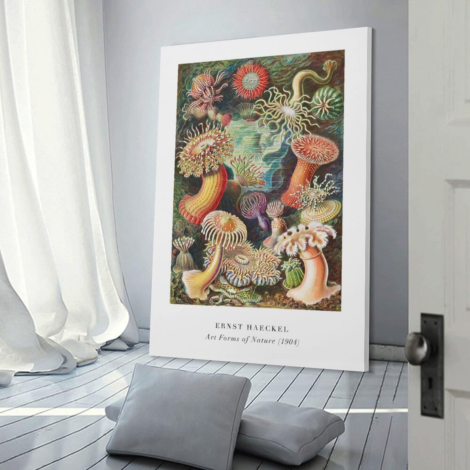 Junmoney Wall Picture Print Ernst Haeckels Art Forms of Nature, 16x24inch(40x60cm), for Wall Displays, Bedrooms Or Room Updates, Wall Decor Suited to Curated Displays