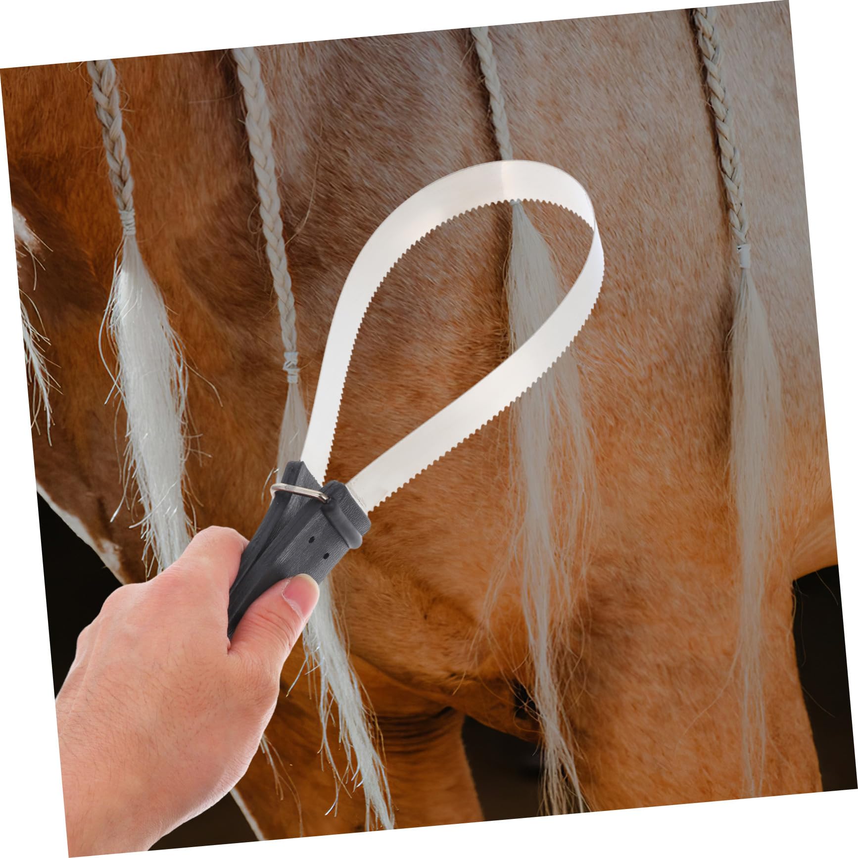 Cepillo de Pelo de Caballo con Raspador de Acero Inoxidable 11.81x3.74x0.59 Pulgadas