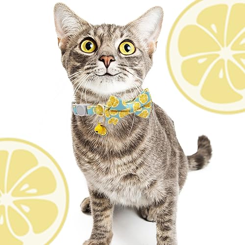 Miniatura 7 de Faygarsle Paquete de 2 lindos collares de gato con campana, corbatín para gatos, machos, hembras, gatos, suave, elegante, rosa, amarillo, gato,