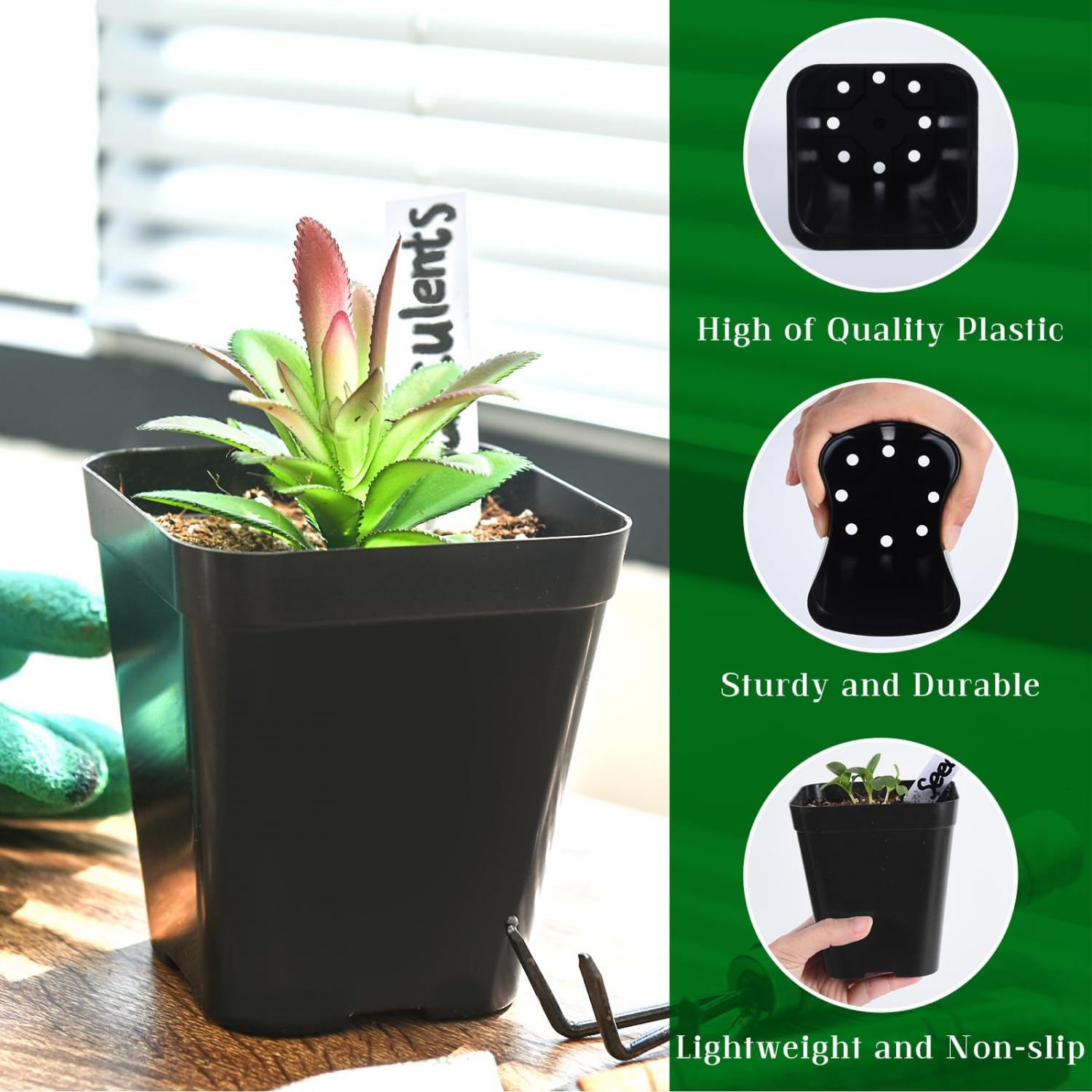 June Fox Small Seedling Pots 4 Inch, 100 Pcs Square Plant Pots Bulk, Plastic Nursery Pots with Drain Holes for Seedlings, Succulents, Cuttings (Black)