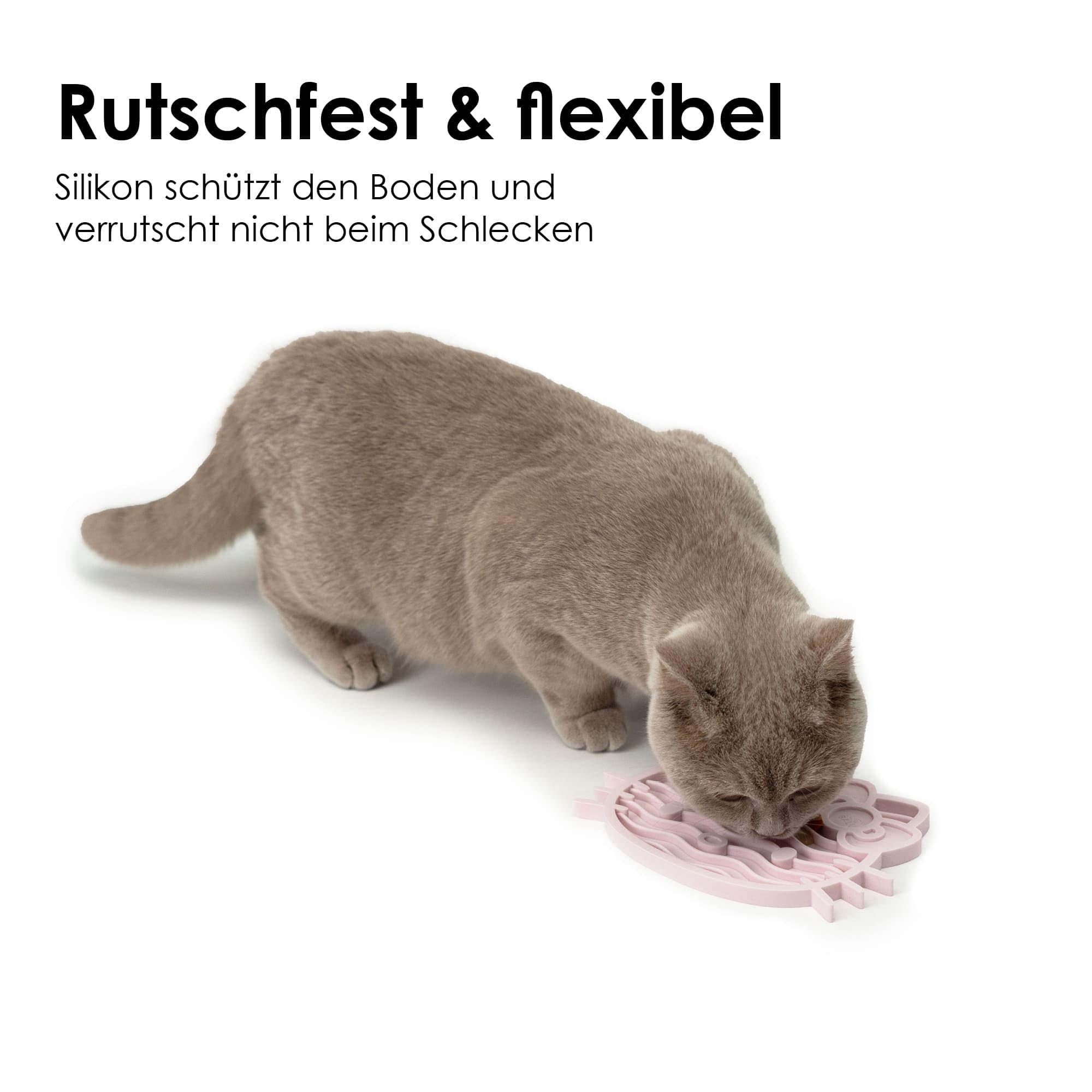 View 2