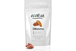ecoEat Edible Insects: Silkworms for Delightful Eating