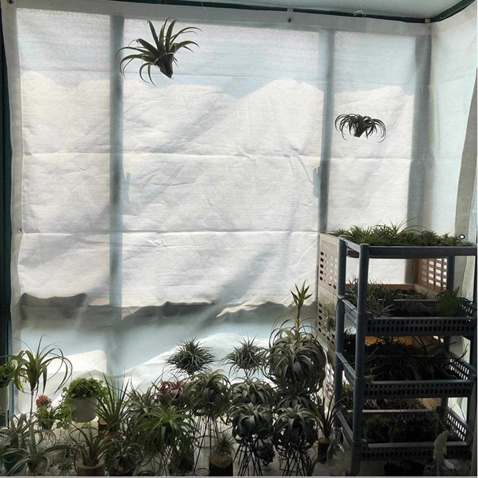 Rete parasole per giardino, serre e aiuole, protezione UV 80%, 4 x 9 m, con occhielli per piante e fiori