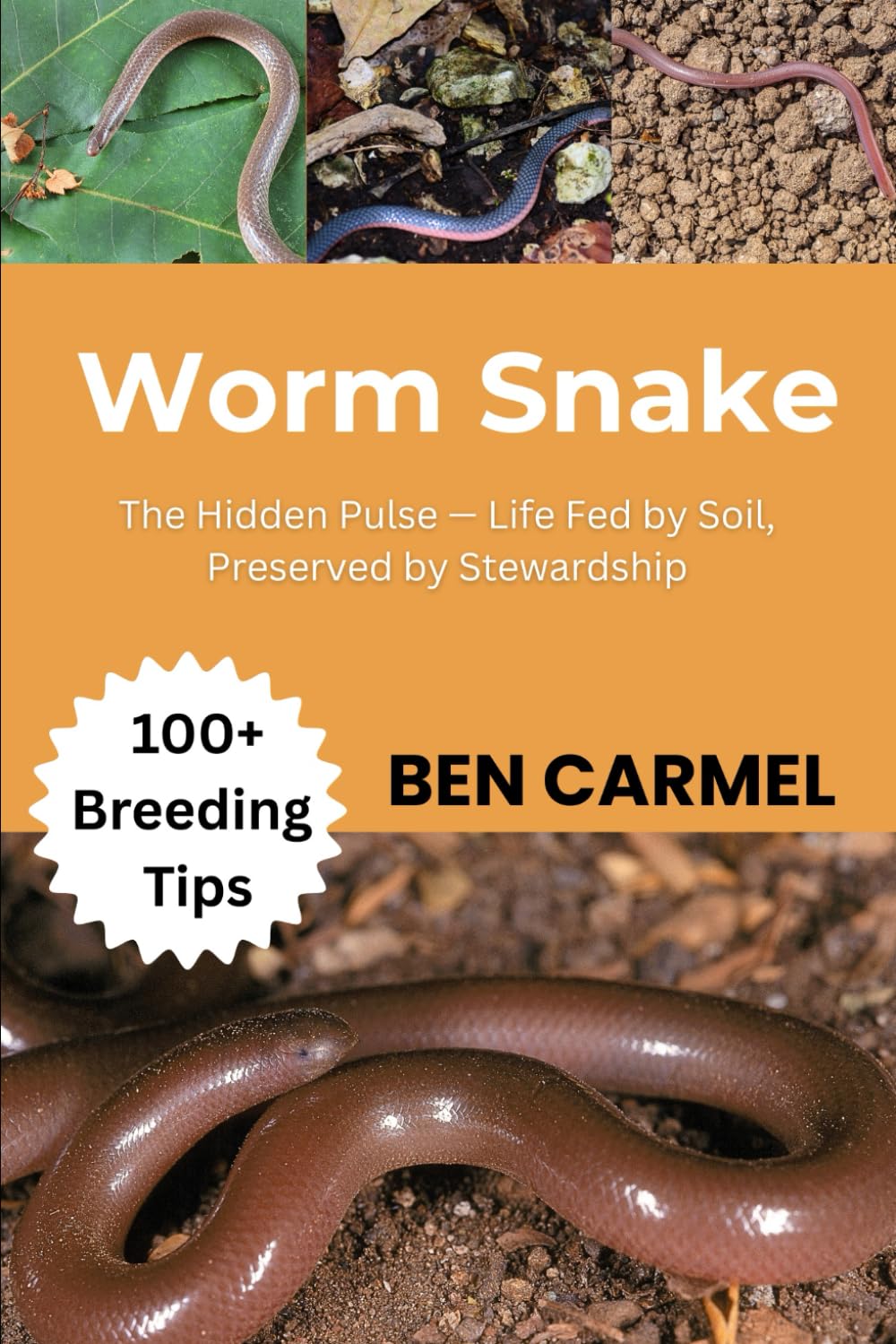 WORM SNAKE: The Hidden Pulse — Life Fed by Soil, Preserved by Stewardship
