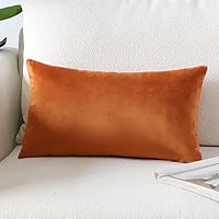 Vista 32 de Artscope Fundas de Almohada de Terciopelo de Lujo Fundas de Almohadas Cuadradas Decorativas Fundas de Cojines Suaves Sólidas para Sofá de Sala Sofá