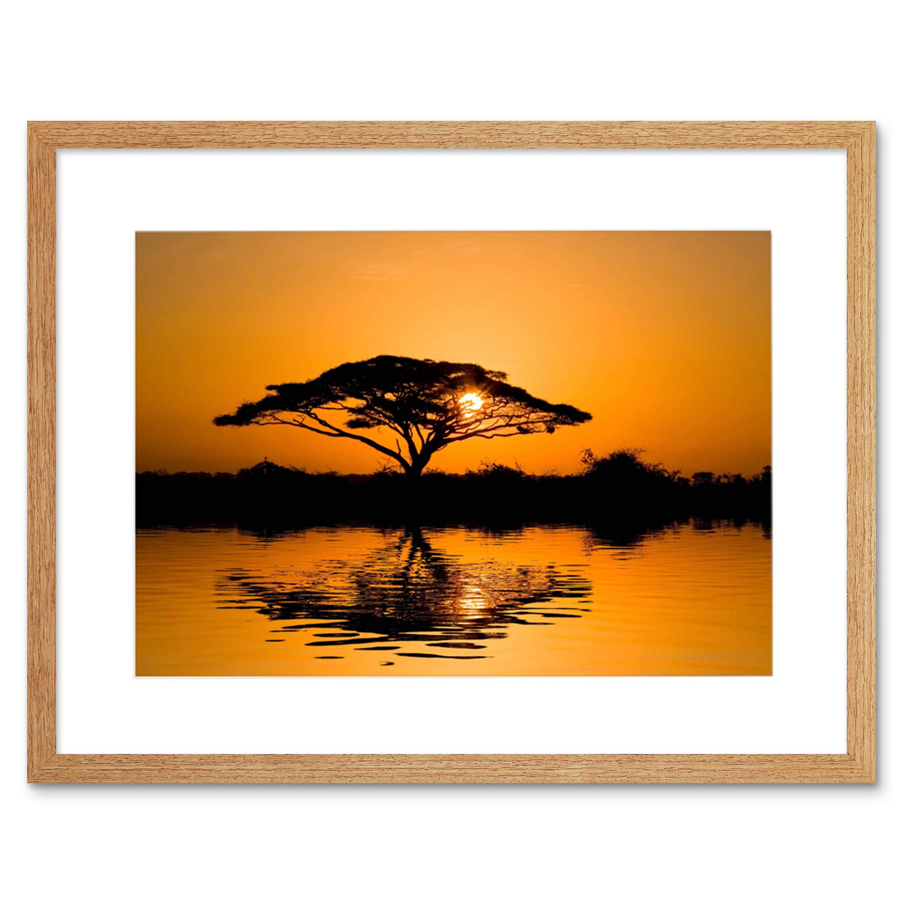 Wee Blue Coo Dt Acacia Tree At Sunrise Art Framed Wall Art Print