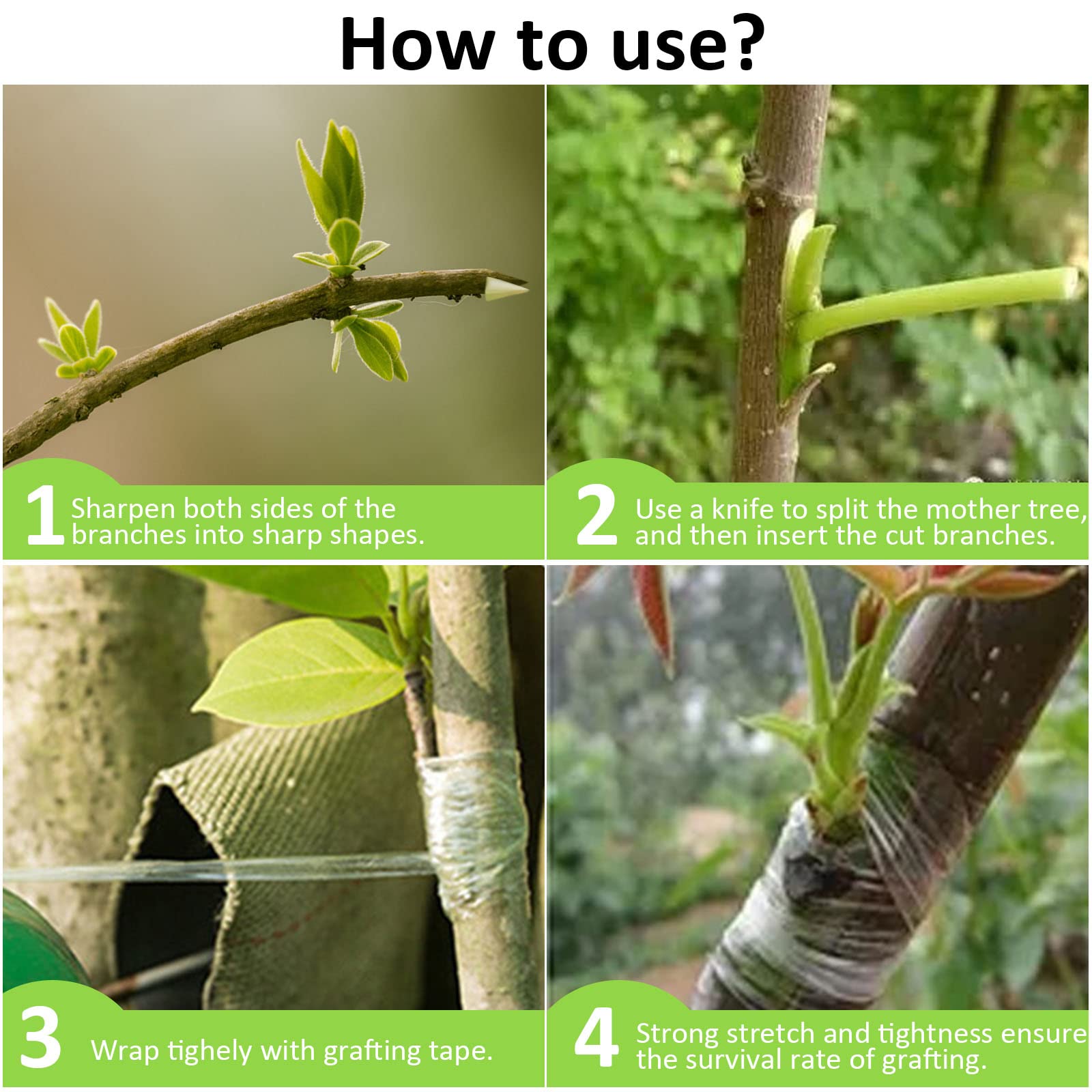 Annhao 2 Rotoli Stretchable Giardinaggio, Film Innesto, Adesivo per innesto, Nastri per Innesto, Nastri in Crescita Innesto da Giardino per Innesto Riparazioni di Piante Alberi Frutta (100m x 2cm)