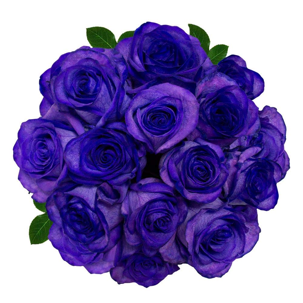 Magnaflor® 25 Stems Fresh Tinted Purple Meteorite Rose - fresh flowers for delivery prime with 10-12 days vase life