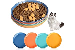 Unbreakable Plastic Cat Bowls