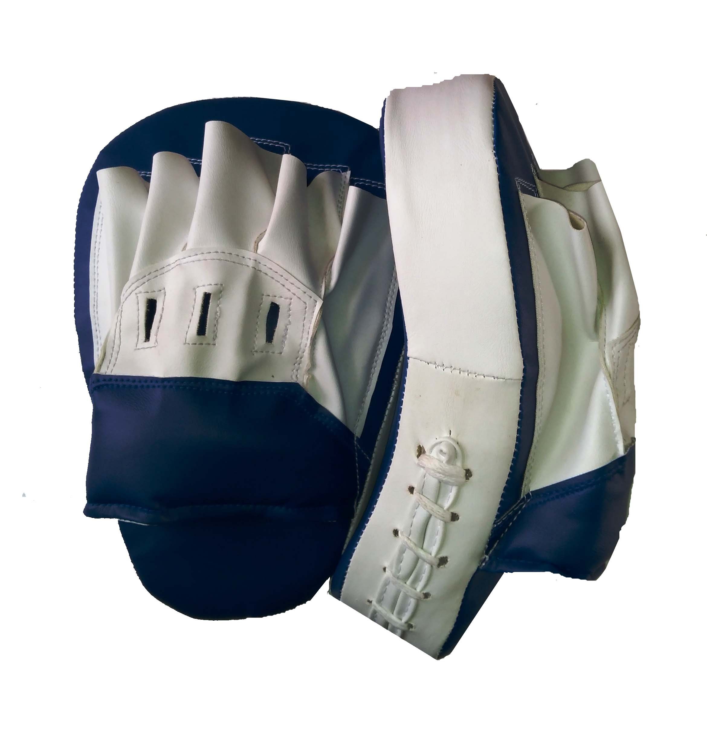 Arnav Boxing Martial Karate Focus Pad (B074TFK3XS) Amazon Price History, Amazon Price Tracker