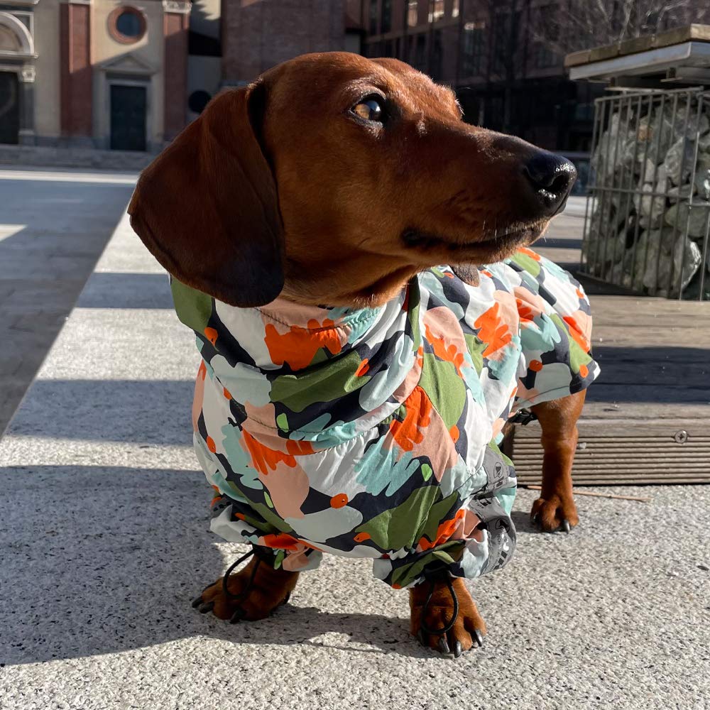 Croci Randonnée - Imperméable pour Chien, Portable, Go Arlequin, Taille 40 cm - 195 g