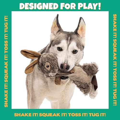 Miniatura 9 de Pet Factory Shake & Squeak Critter Tugz - Juguete de peluche para perro, seleccionado al azar, conejo o castor, talla única