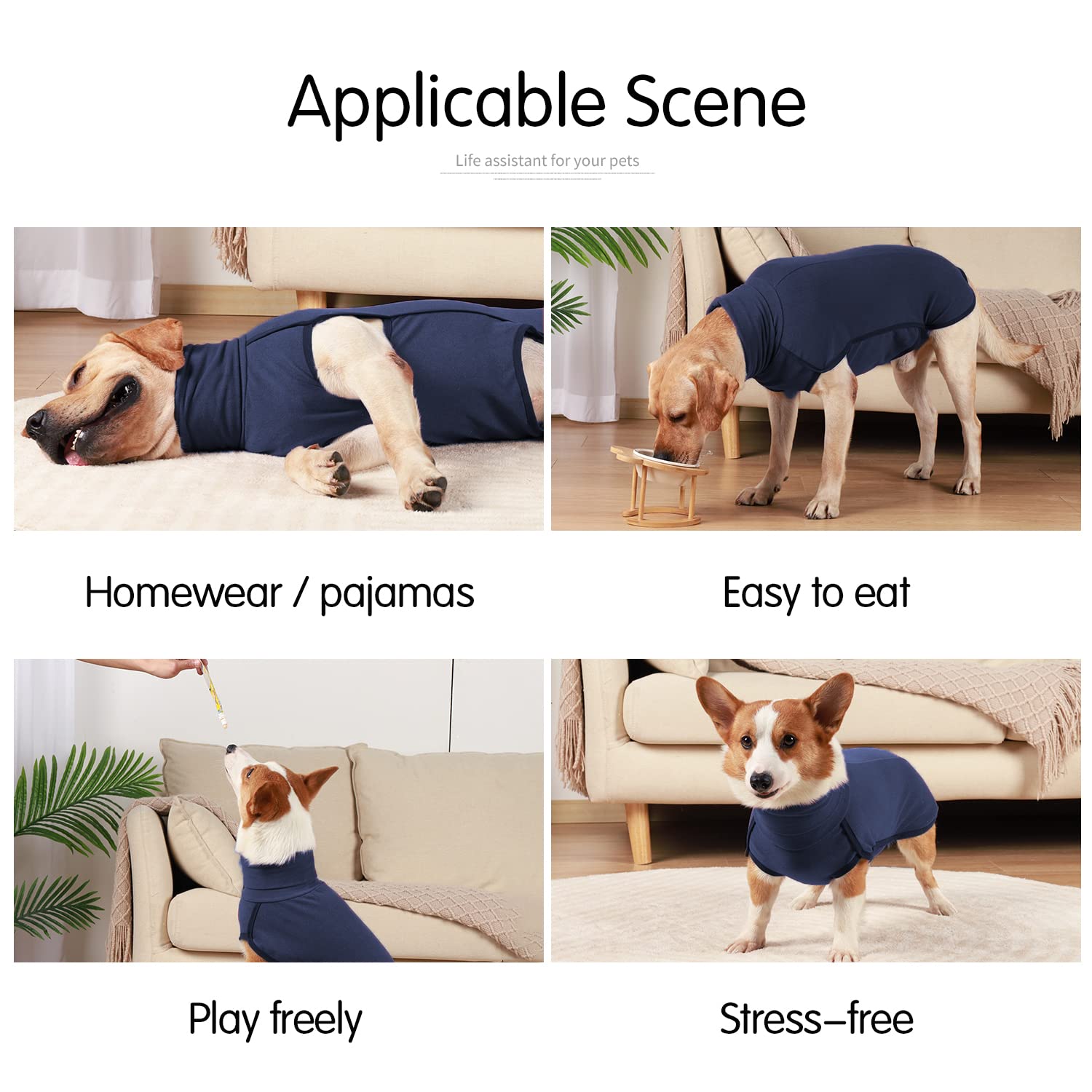 HEYWEAN Felpa per cani Gilet in pile elasticizzato Pullover per cani caldi Pullover per cani di piccola e media taglia Abbigliamento invernale per interni ed esterni