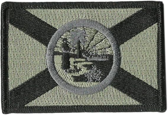 Florida Tactical Flag Patch