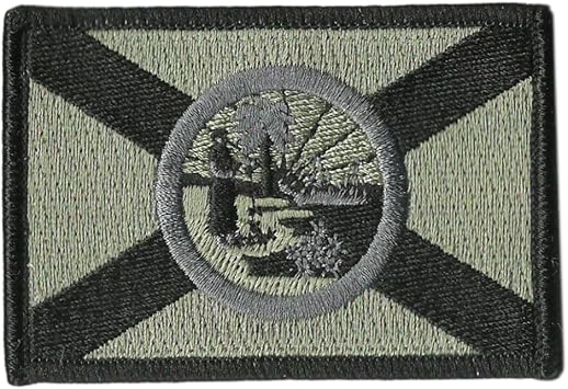 Florida Tactical Flag Patch