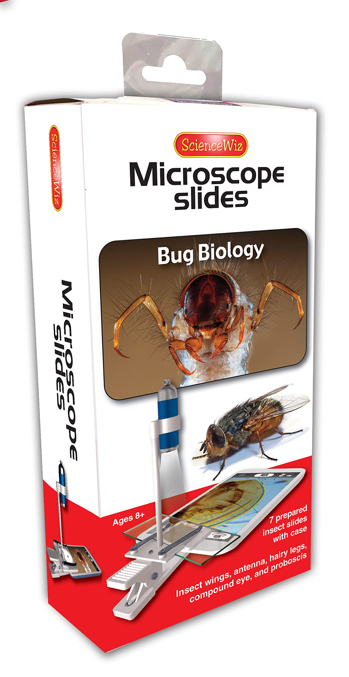 Microscope Slides: Bug Biology Slides (set of 7) (Microscope Slide Sets)