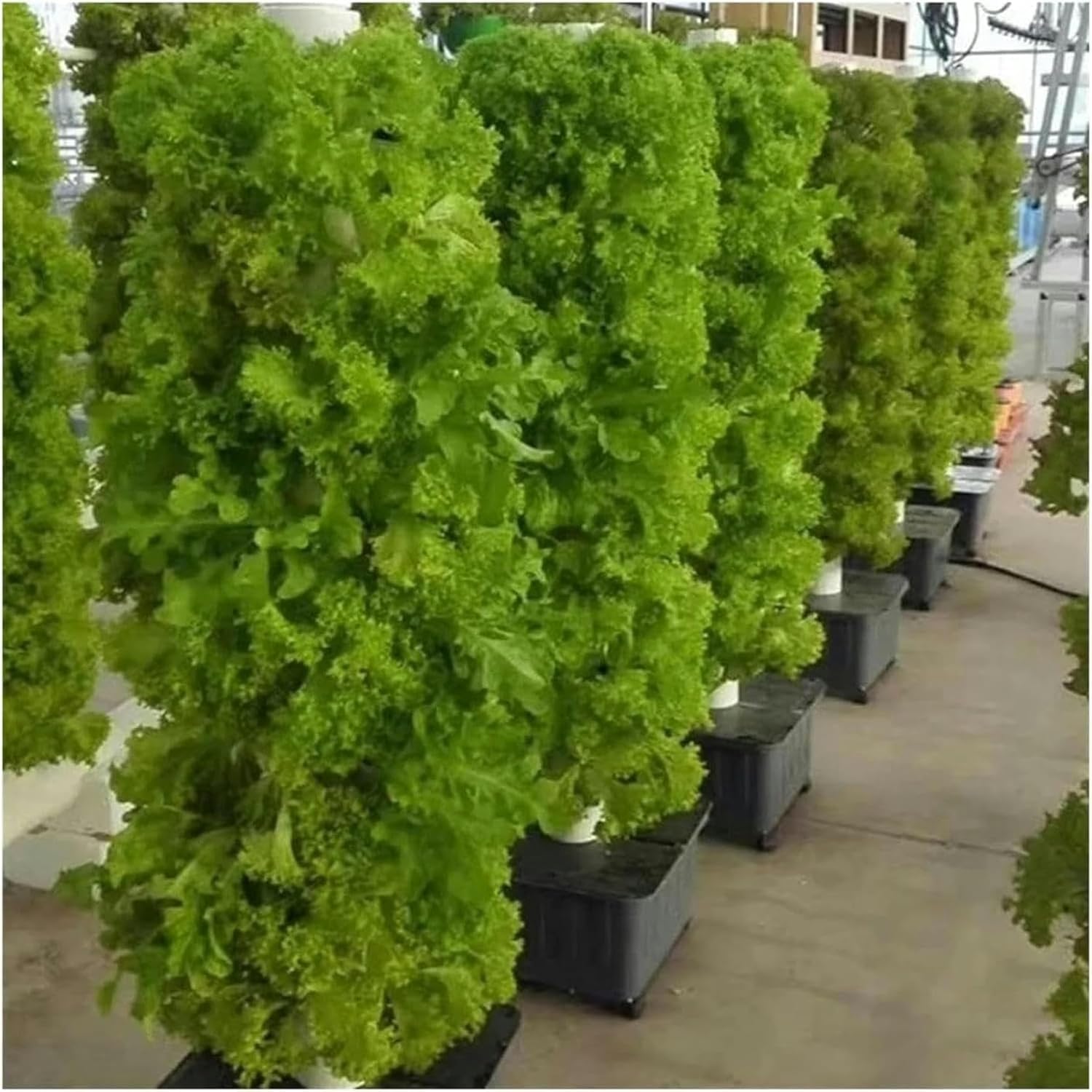 Arrosage Automatique Système de Culture hydroponique Intelligent - Kit Tour de Jardin d'intérieur for Herbes et légumes Frais