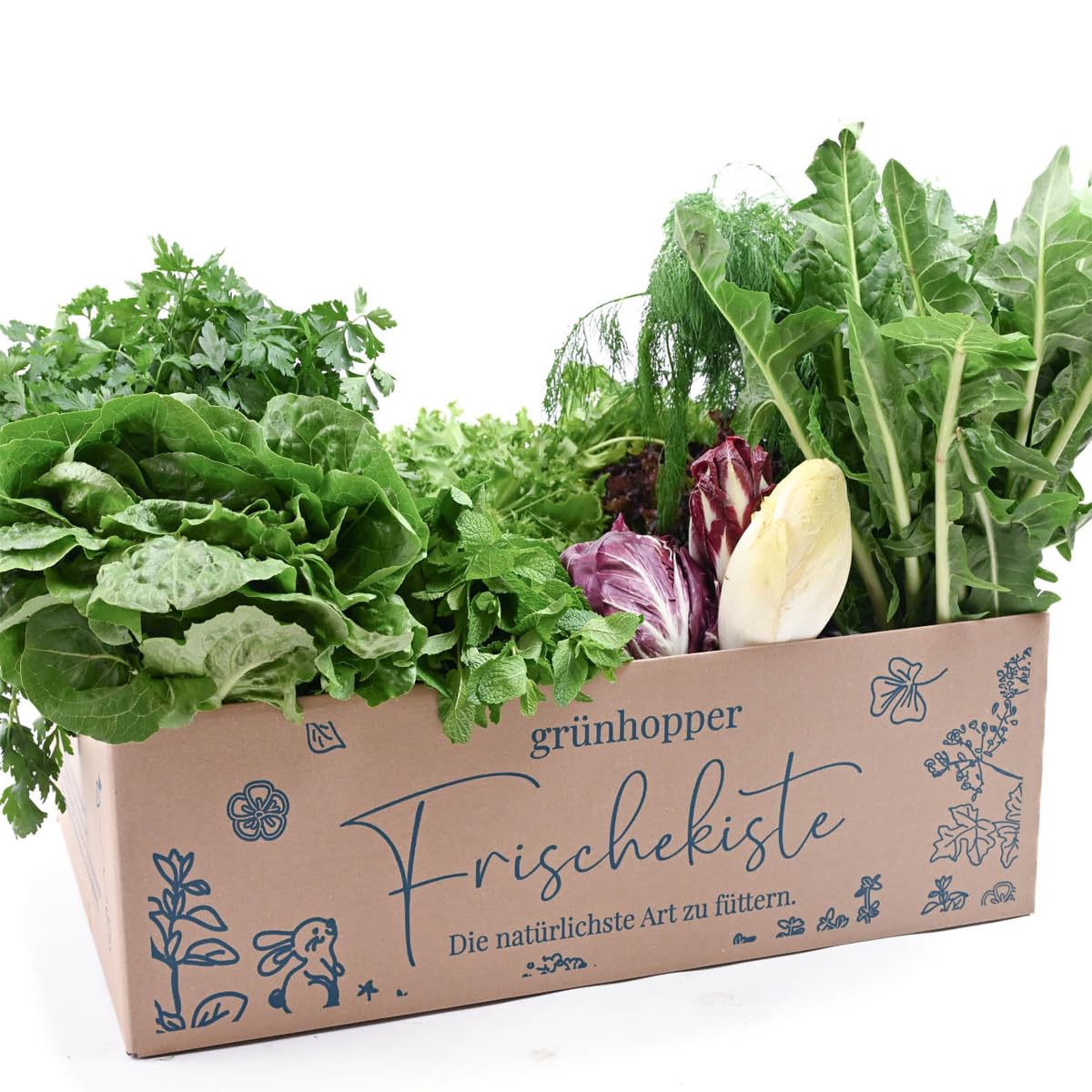 Frischekiste Salat&Kräuter (6 kg)