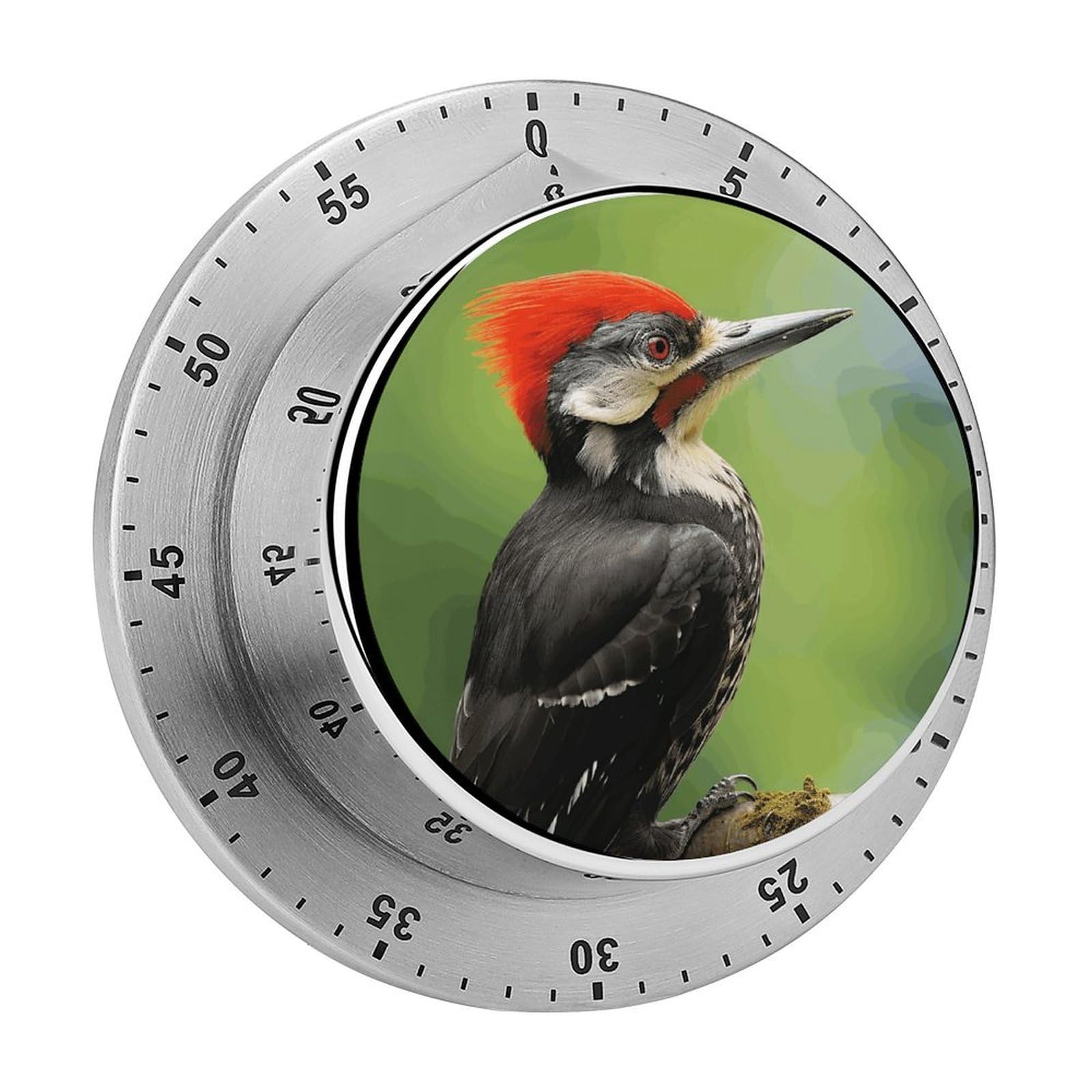 Cute Pileated Woodpecker Kitchen Timers for Cooking Chef Stainless Steel Timer Clock with Loud Alarm Mechanical 60 Minute Wind Up Timers No Batteries Required Manual Countdown Timer