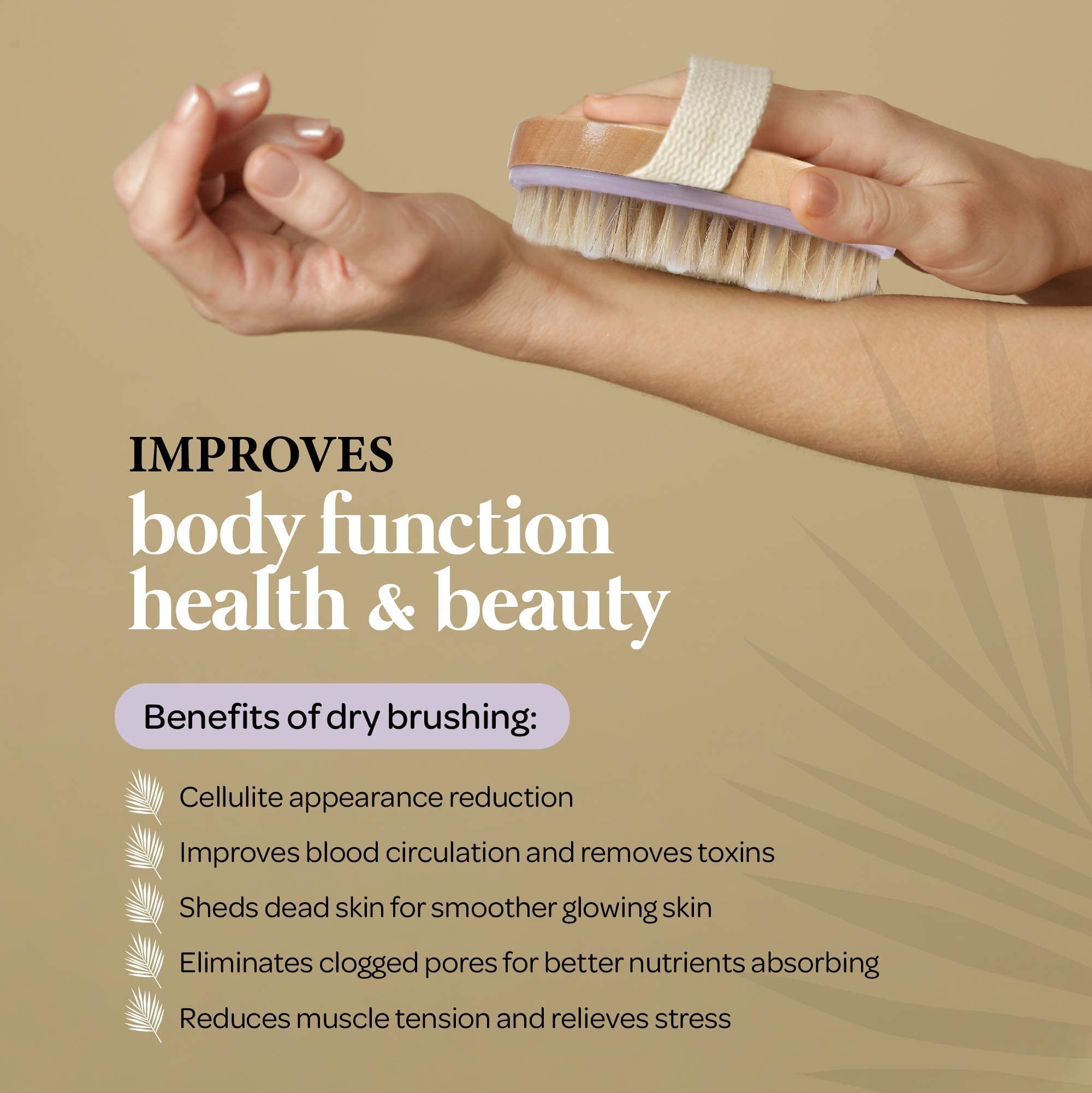 Buy MainBasics Dry Body Brush Exfoliating Body Scrubber Boar Bristles & Massage Nodules for