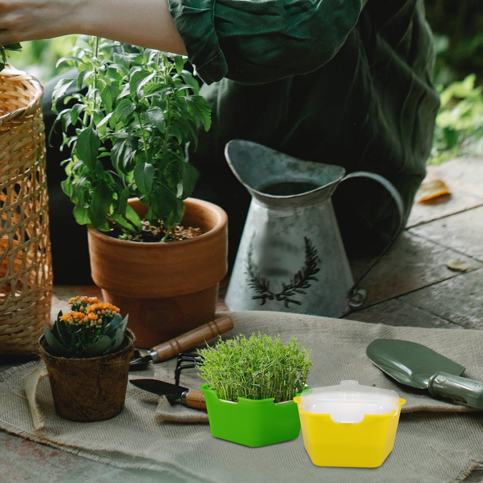 INOOMP 4ensembles Plateau De Germination Réutilisable avec Couvercle Tray De Démarrage pour Semences pour Fleurs Fruits Et Légumes