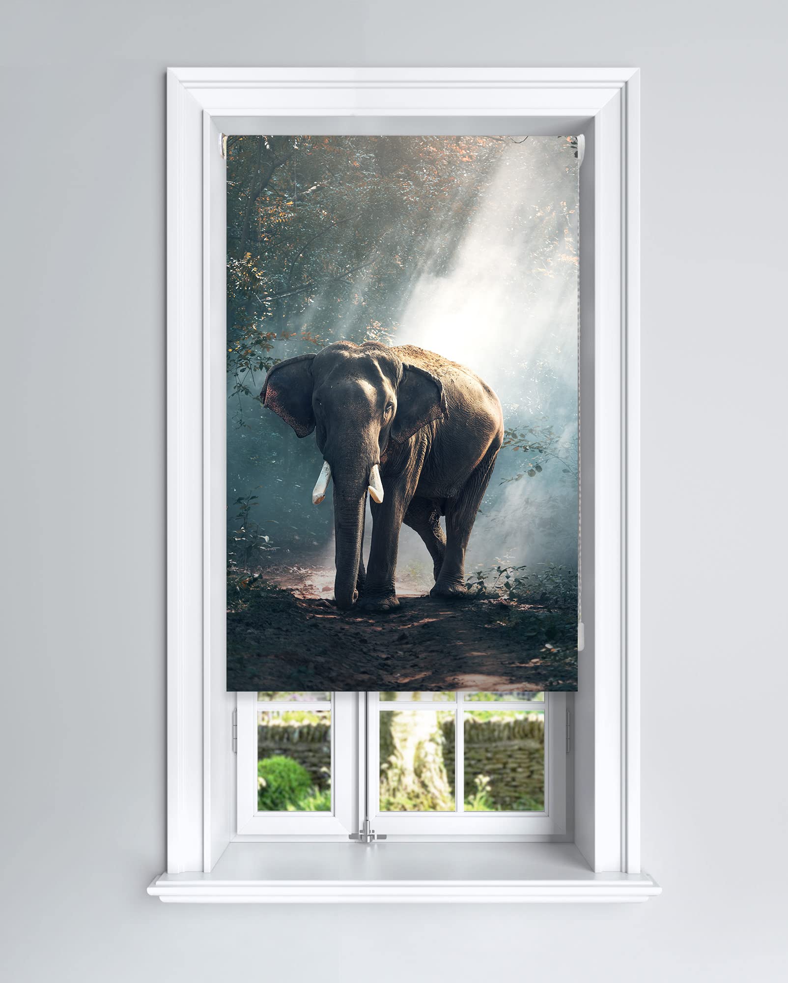 Lister Cartwright Photographic Blackout Roller Blinds For Bedroom Windows(120 X 140 Cm)Elephant from B&Q