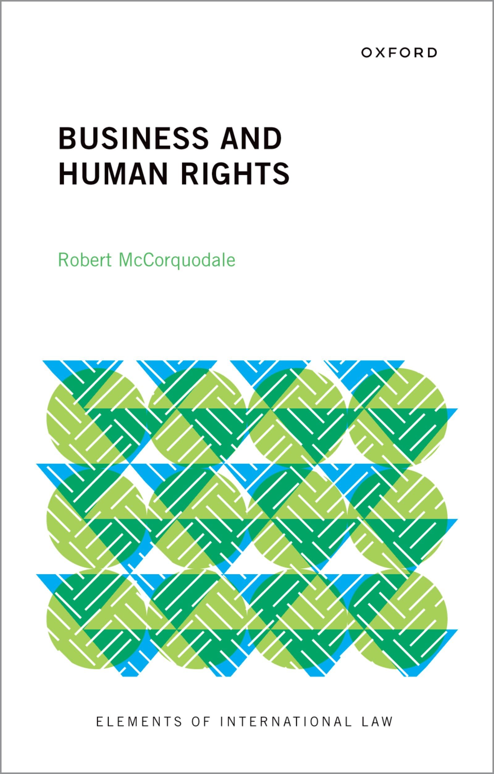 Business and Human Rights (Elements of International Law) (English Edition)