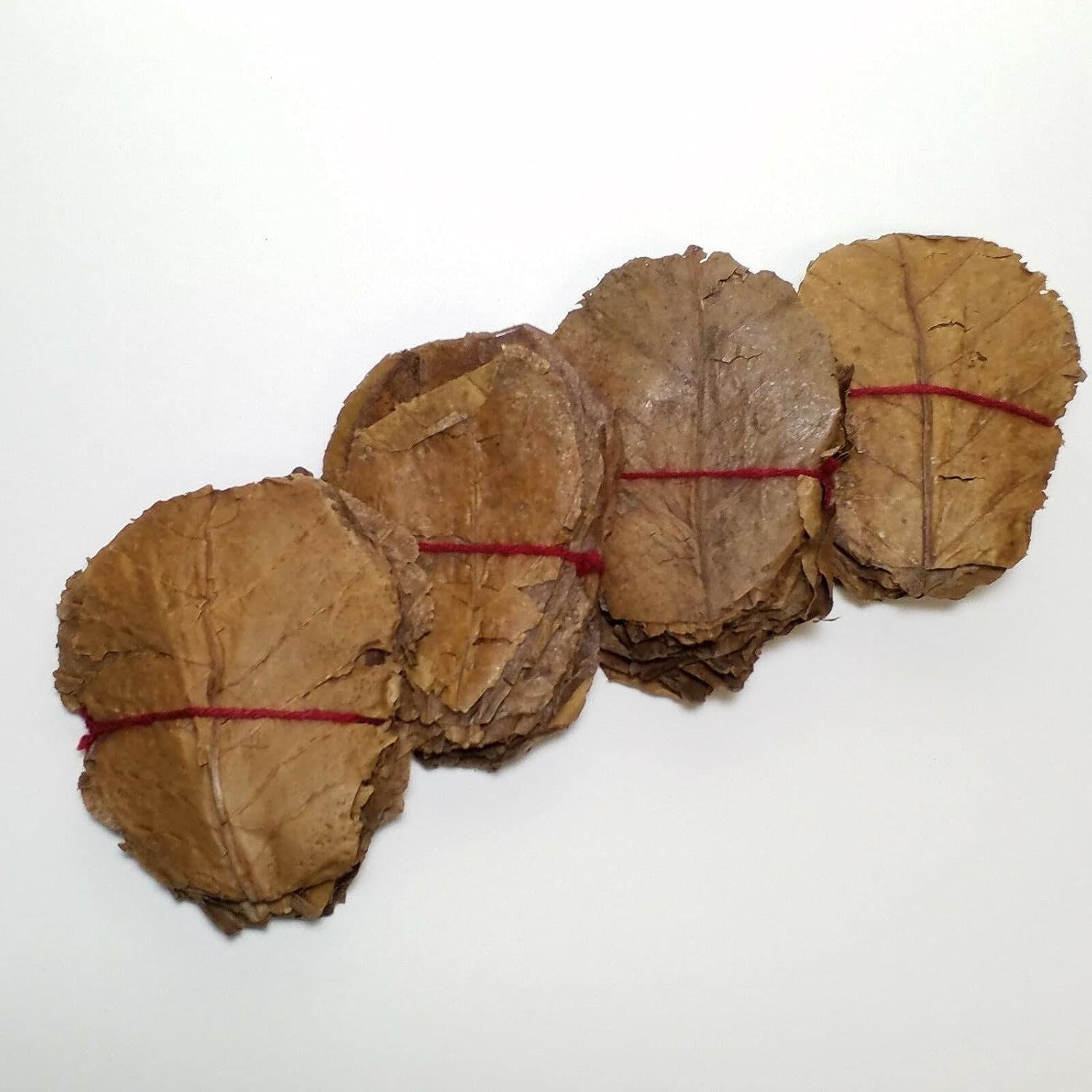 Aquatic Foods 50pcs 3-4 inch Indian Catappa Almond Leaves for Bettas, Discus, Shrimp, Snails, Hermit Crabs for Tropical Fish Aquariums &…