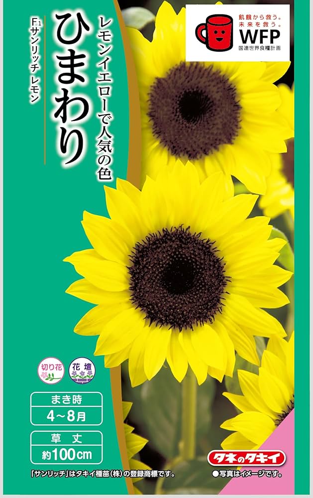 Amazon | タキイ種苗 ひまわり サンリッチレモン | 野菜