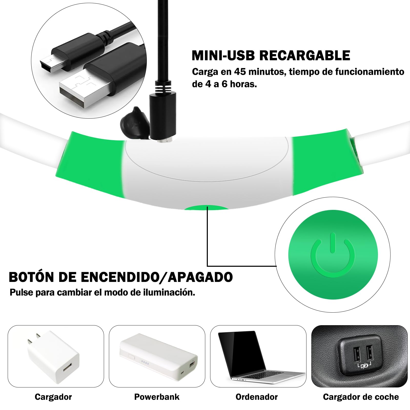 Nepfaivy Collare Luminoso per Cani - Collare per Cani a LED Ricaricabile per Portare a Spasso di Notte, Collare per Cani Impermeabile e Regolabile con 3 Modalità di Lampeggio, Verde