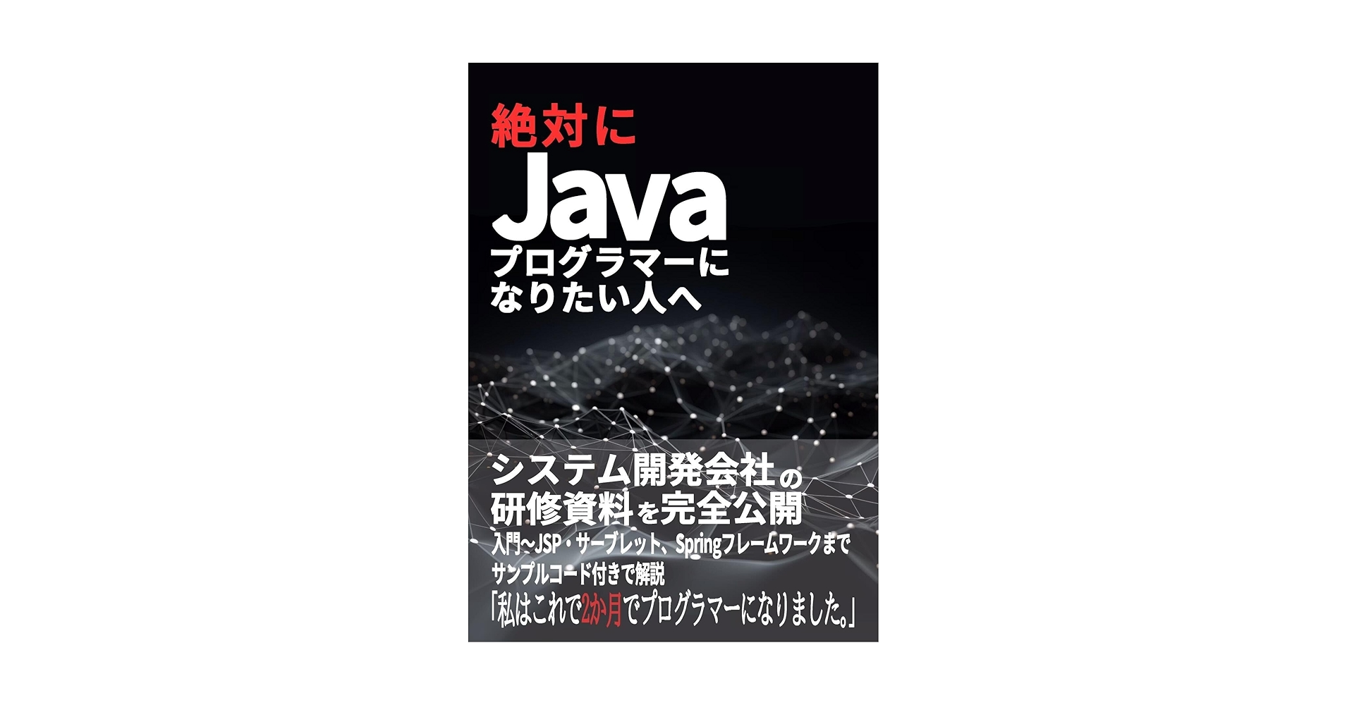 目指せ! 稼げるプログラマー 目指せ！ 稼げるプログラマー | 金宏 和實 |本 | 通販 | Amazon