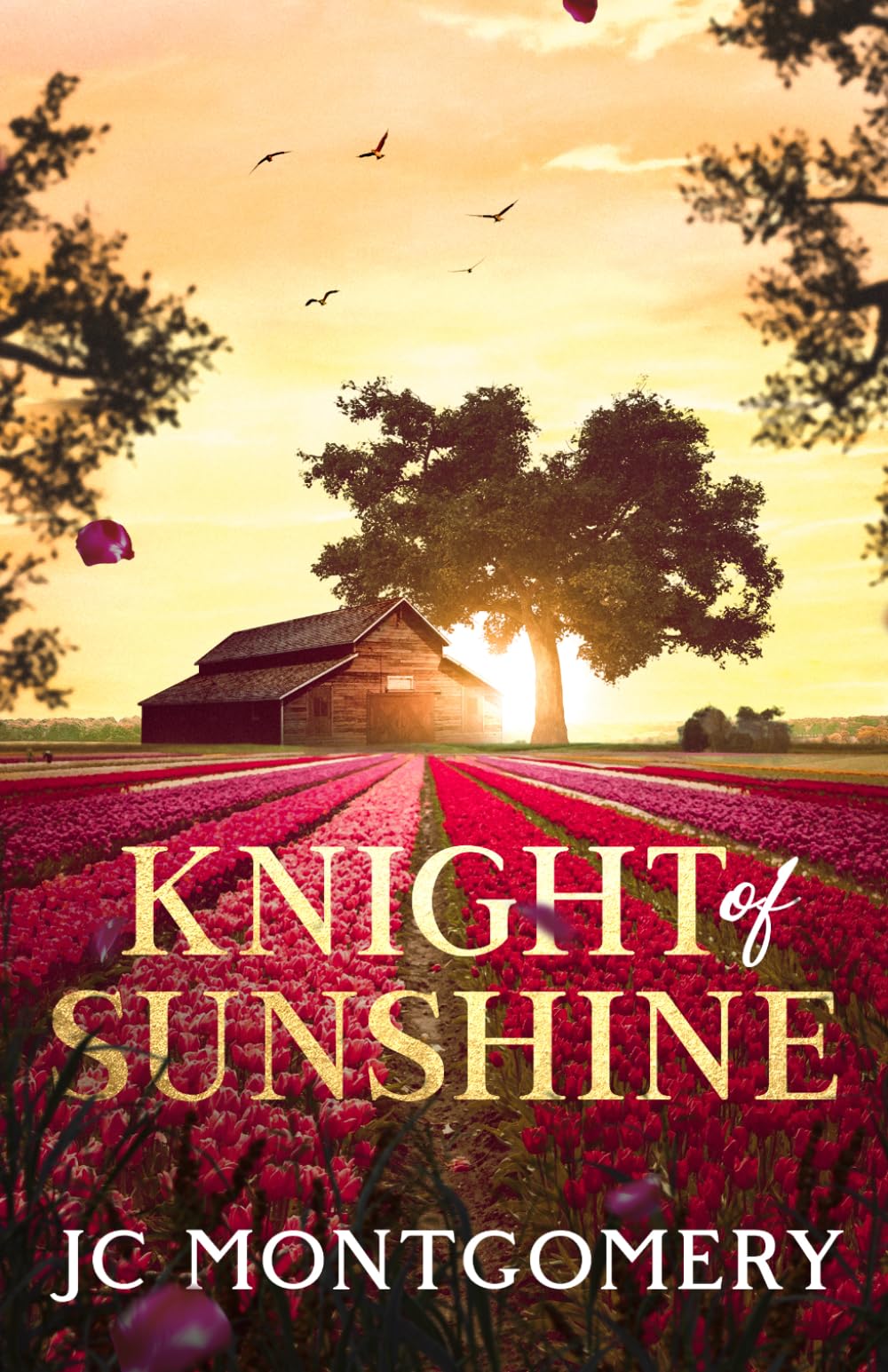 Knight of Sunshine (Knight Series, Book 2): A passionate love story