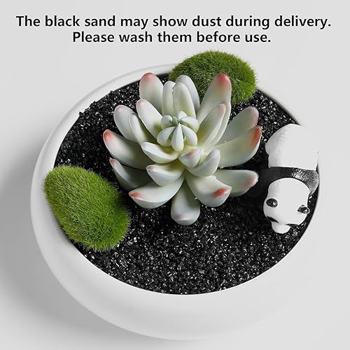 Miniatura 3 de Suculentas y cactus de arena negra, decoración y aditivos, piedras diminutas de 5 libras, grava para bonsái, jardinería de hadas, terrario, rellenos