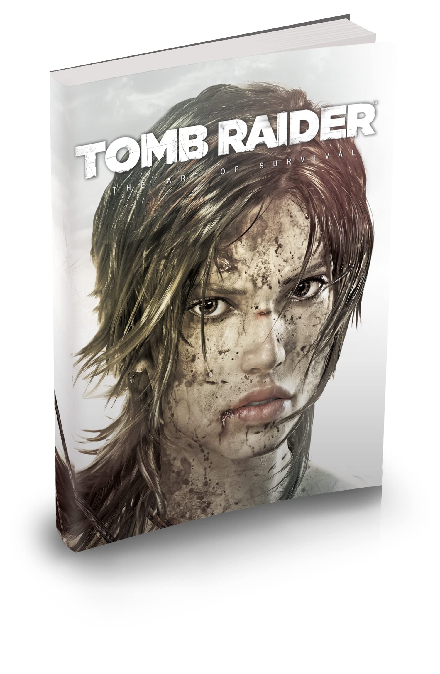 Tomb Raider: The Art of Survival