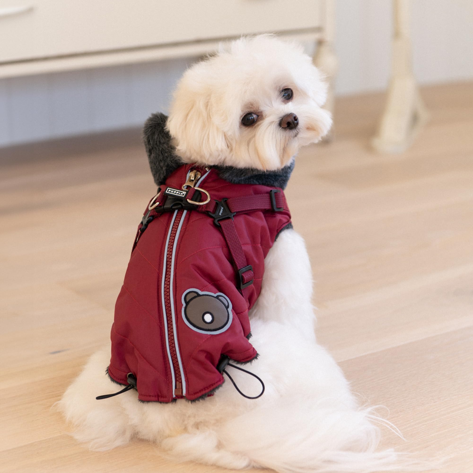 ISOLDE Cappottino per cane Vinaccia S