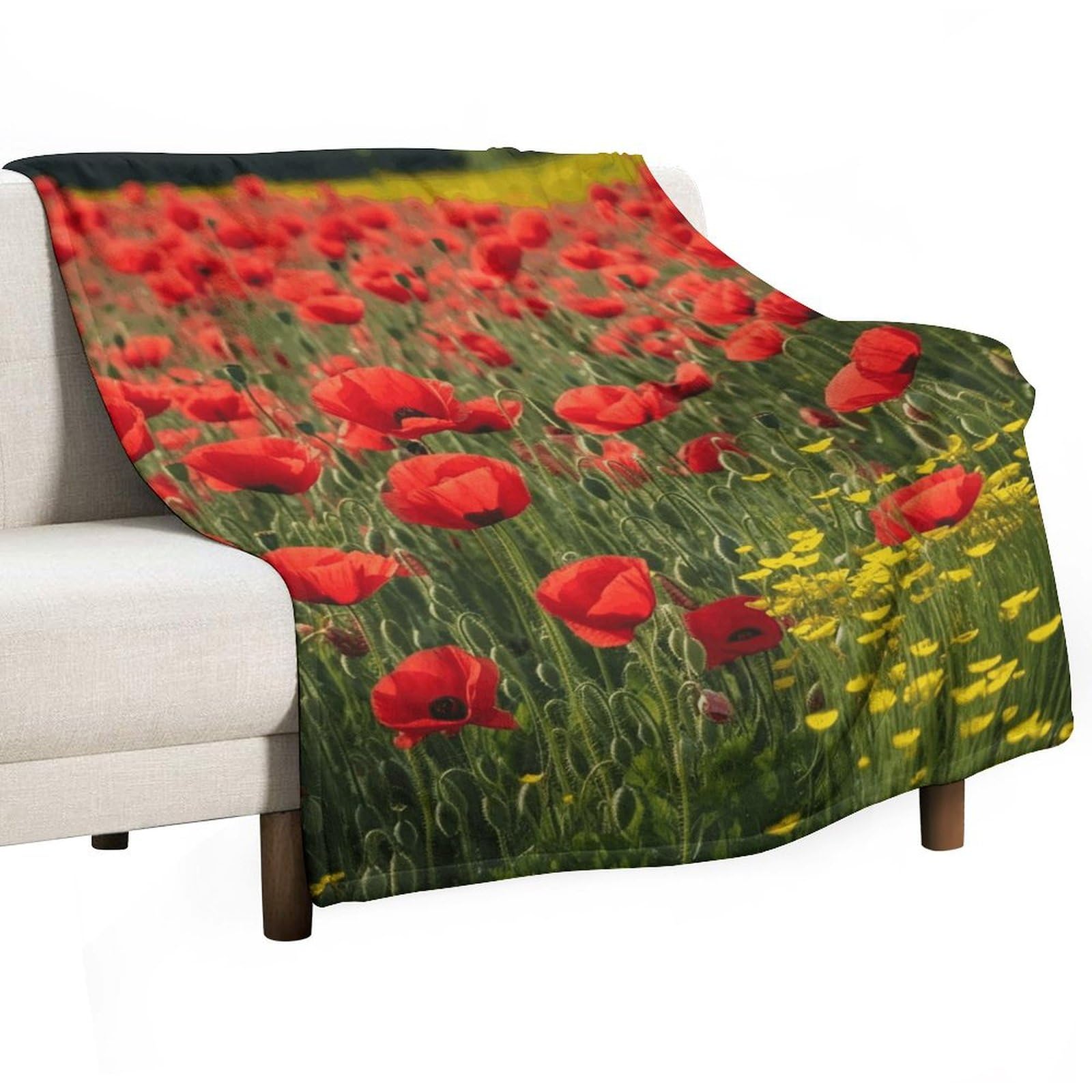 Couverture en flanelle légère contre le froid sous cette couverture pelucheuse de canapé