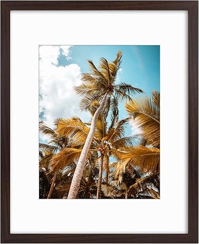 Vista 464 de Frametory, Portarretratos negro de 16 x 20 pulgadas, para fotos de 11 x 14 pulgadas con paspartú, molduras anchas (16 x 20 pulgadas, negro)