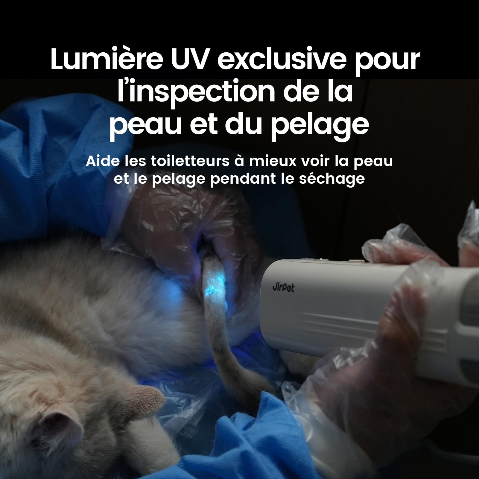 JirPet Sèche Cheveux pour Chien à Accrocher Au Cou, Portable 75 m/s, 3 Vitesses 4 Températures, Toilettage