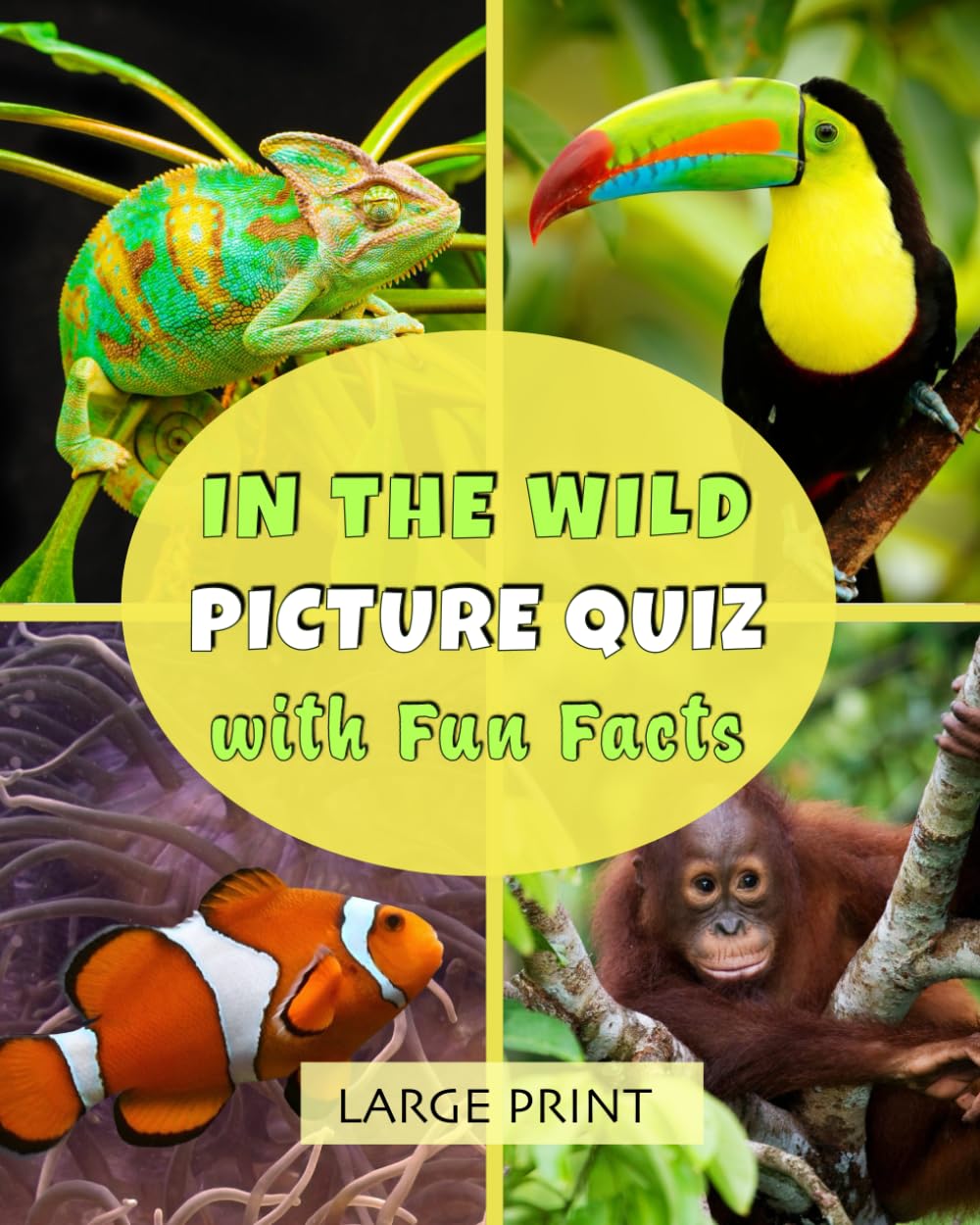 In the Wild Picture Quiz with Fun Facts: Large print: Lively dementia-friendly, vision-friendly reading about spectacular wildlife, to share and discuss (Memory-friendly illustrated quizzes)