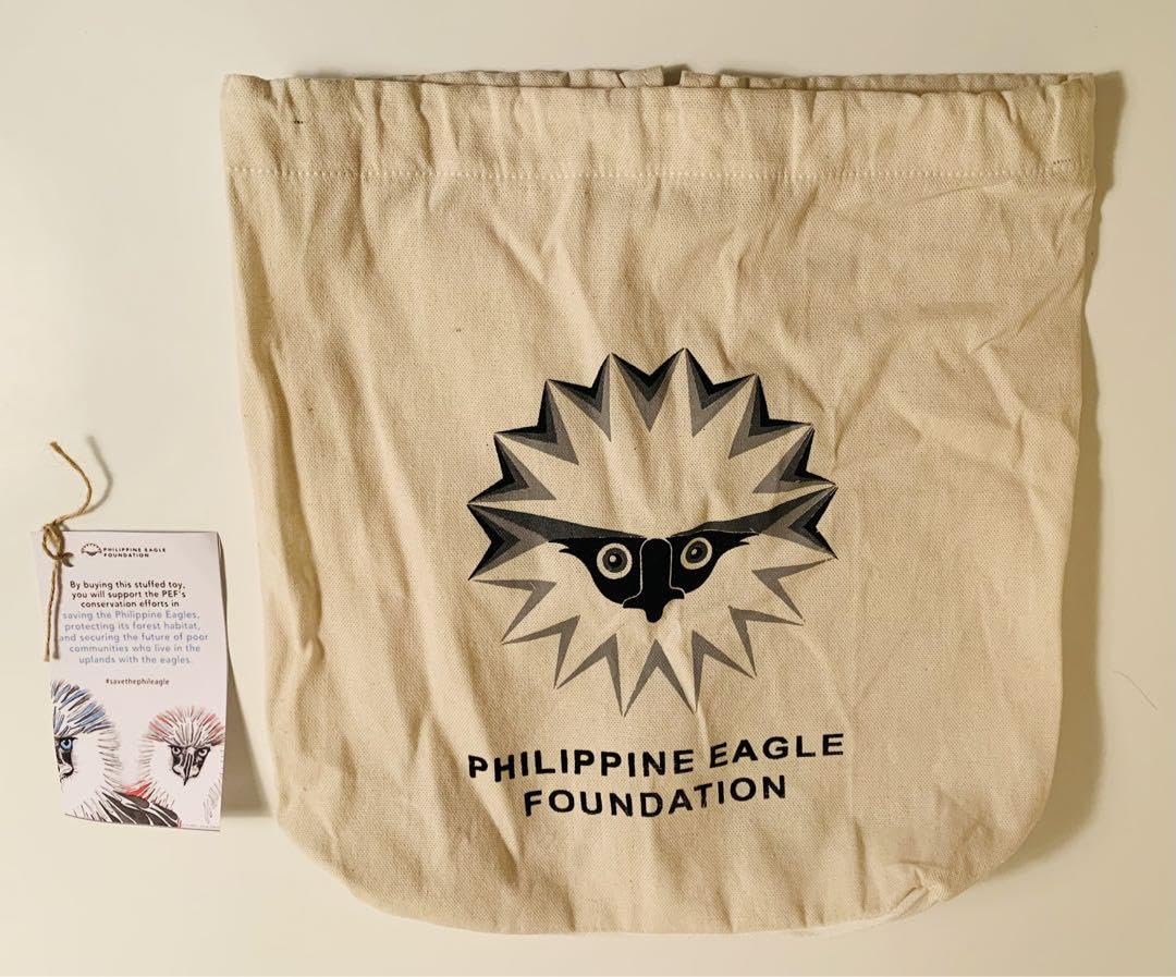 フィリピンワシ　絵画　＜お値段ご相談ください＞ フィリピンワシ 絵画 ＜お値段ご相談ください＞ フィリピンワシ絵画