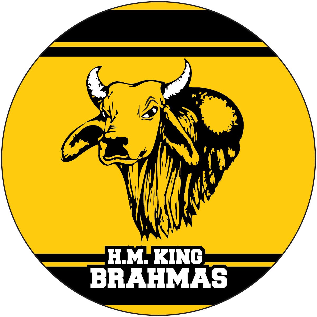 R and R Imports, Inc H.M. King High School Brahmas Kingsville Texas Sports Team 4 Inch Round Car Fridge Magnet