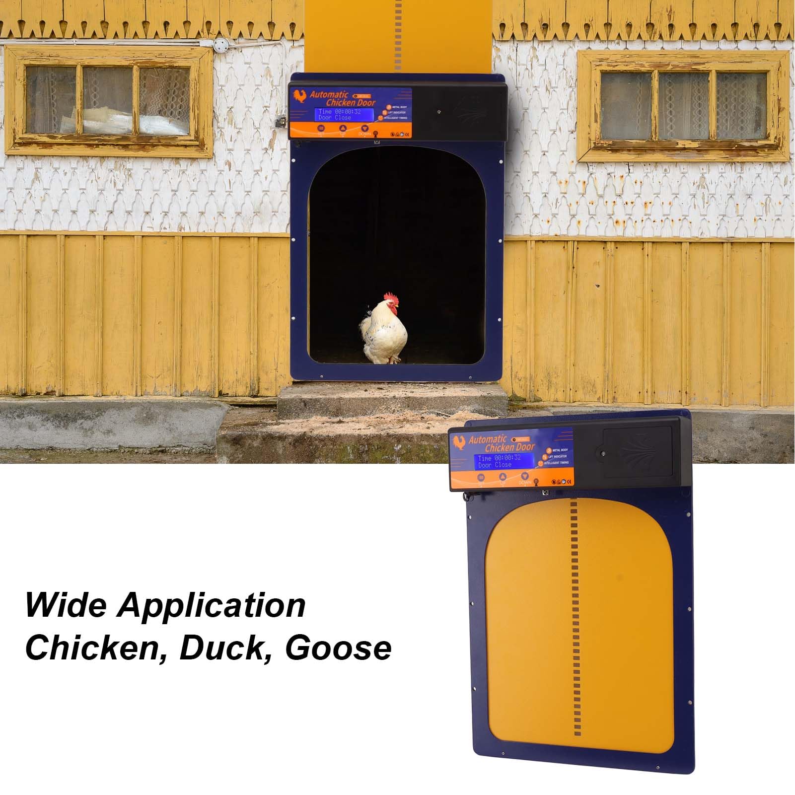 Porta Automatica per pollaio, Porte per polli programmabili ad energia Solare con rilevamento della Luce per la casa (Blu)